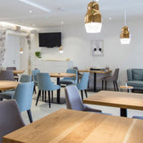 Fedora Suspension Light