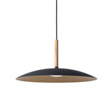Solar Pendant Light