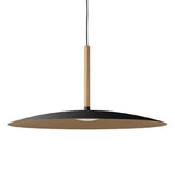 Solar Pendant Light