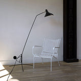 Mantis Floor Lamp