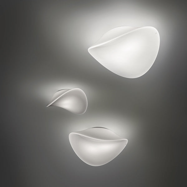 Balance Wall Ceiling Light