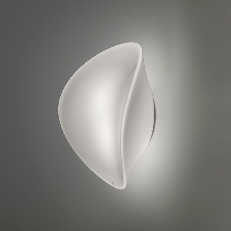 Balance Wall Ceiling Light