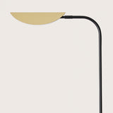 Ficus Floor Lamp