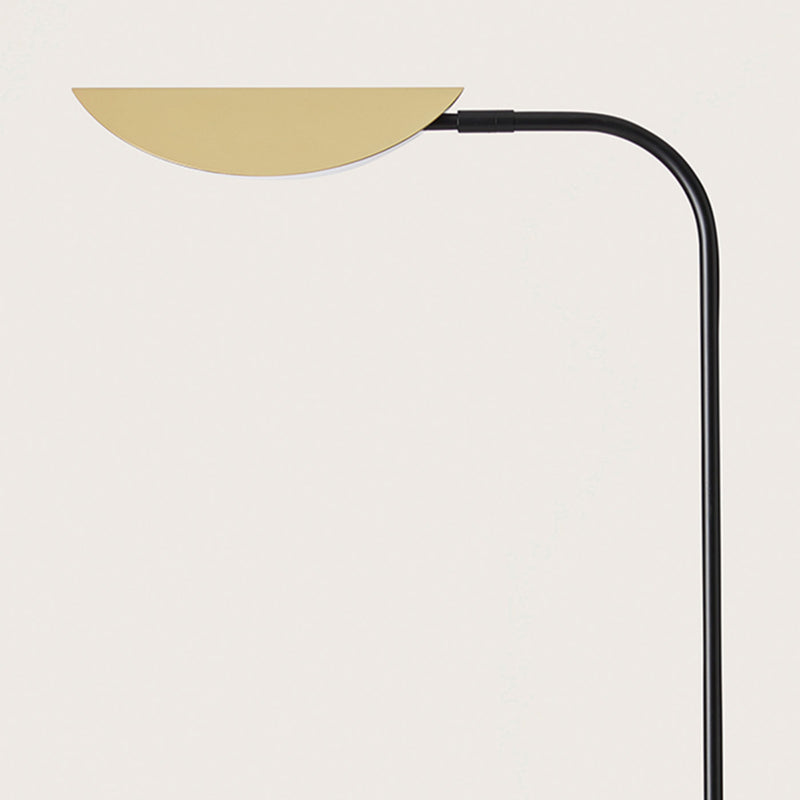 Ficus Floor Lamp