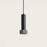 Focus Pendant Light