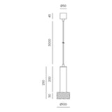 Focus Pendant Light
