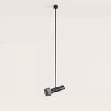Focus Rod Pendant Light