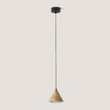 Iconic Pendant Light