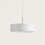 Open Pendant Light
