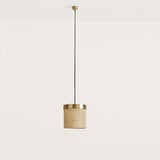 Ptan Pendant Light