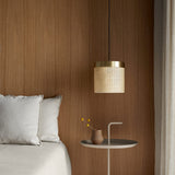 Ptan Pendant Light