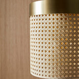 Ptan Pendant Light