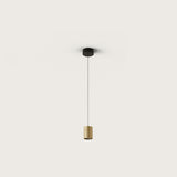 Tera Pendant Light