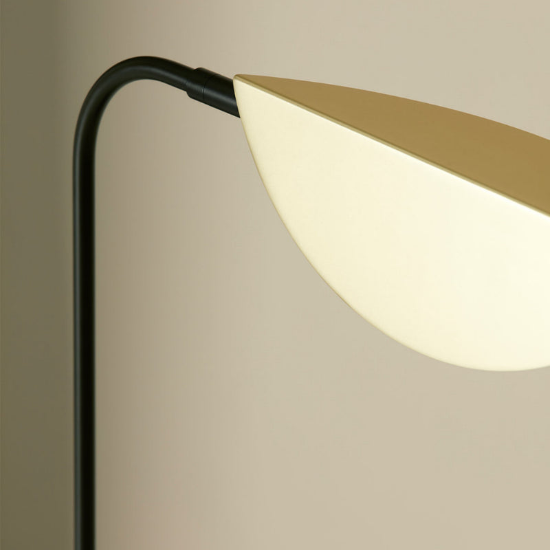 Ficus Table Lamp