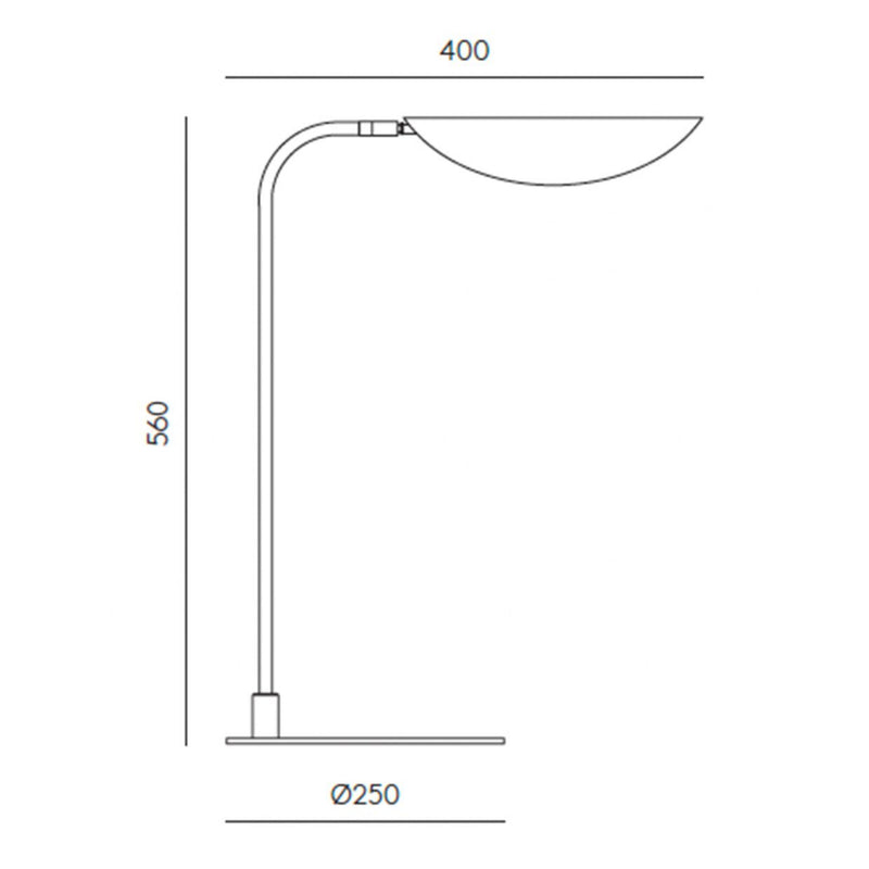 Ficus Table Lamp