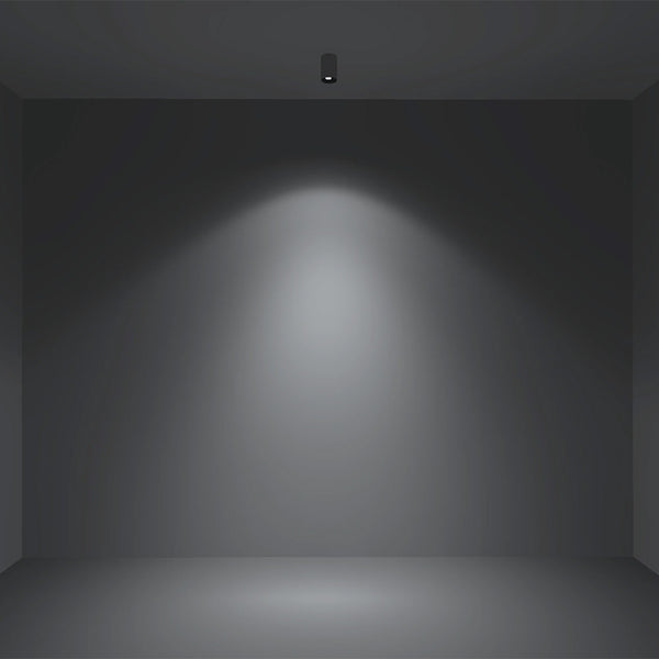 D550 SH Curve