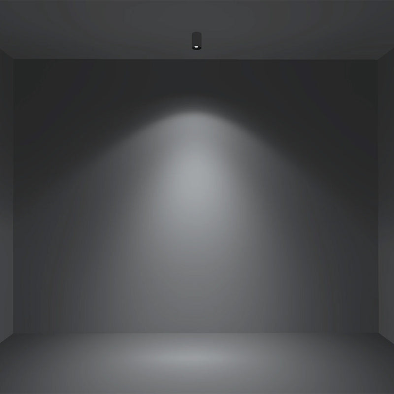 D550 SH Curve
