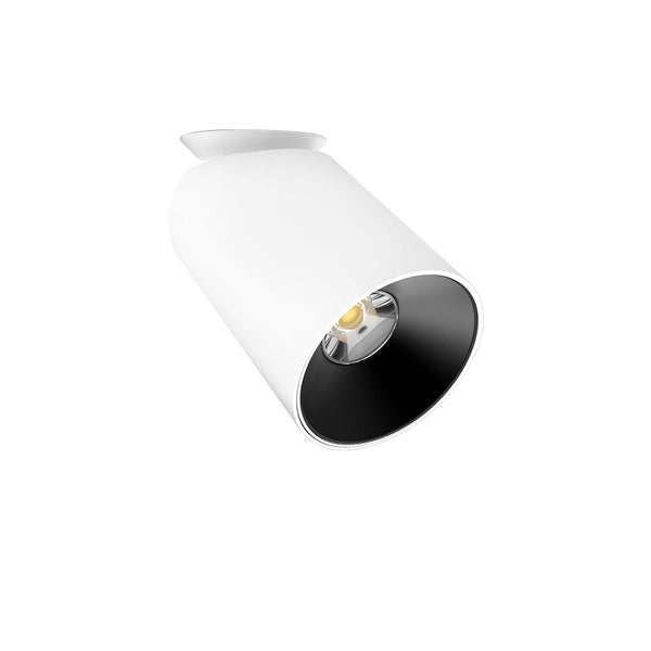 D550 SHX Curve