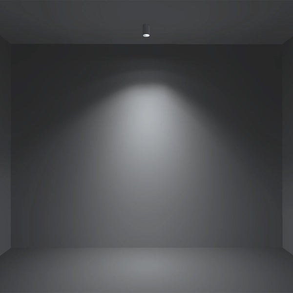 D550 SHX Curve