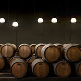 Circ Double Pendant Light