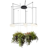 Circ T-3815 T-3816 Composition Chandeliers