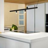 Morse Pendant Light
