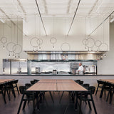 Revolta Double Pendant Light