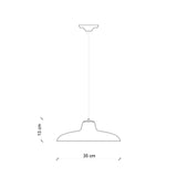 B&W Curve Pendant Light
