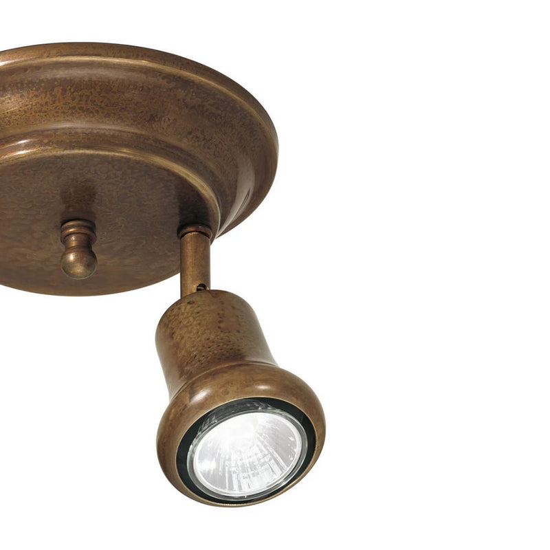 Mini Adjustable Ceiling Light