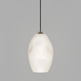Organic Pendant Light