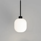 Parlour Lite Curve Pendant Light