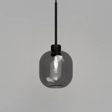 Parlour Lite Curve Pendant Light