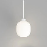 Parlour Lite Curve Pendant Light