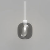 Parlour Lite Curve Pendant Light